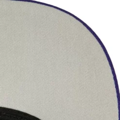 Headwear Mitchell & Ness -1998 Draft Pro Strapback Hwc Toronto Raptors