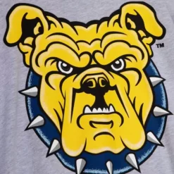 Apparel Mitchell & Ness T-Shirts & Tops-Aggie Pride Longsleeve North Carolina A&T University