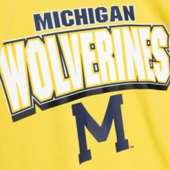 Apparel Mitchell & Ness Hoodies & Sweatshirts-All Over Crew 2.0 University Of Michigan