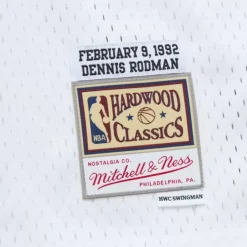 Apparel Mitchell & Ness Big Kids-All Star Game Swingman Dennis Rodman All Star Jersey