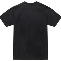 Apparel Mitchell & Ness T-Shirts & Tops-Asg Concert Tee Players Association Jayson Tatum