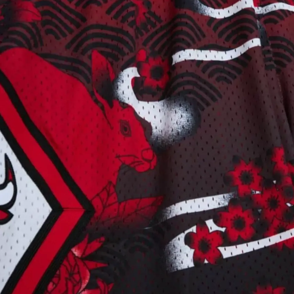 Apparel Mitchell & Ness Shorts-Asian Heritage Swingman Chicago Bulls 1997 Shorts 5.0