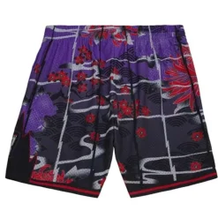 Apparel Mitchell & Ness Shorts-Asian Heritage Swingman Toronto Raptors 1998 Shorts 5.0