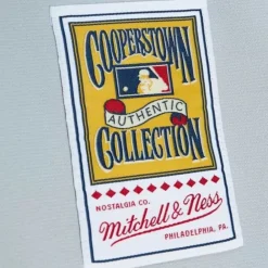 Jerseys Mitchell & Ness -Authentic Bo Jackson Chicago White Sox Road 1993 Jersey