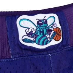 Apparel Mitchell & Ness Shorts-Authentic Charlotte Hornets Alternate 1994-95 Shorts