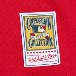 Jerseys Mitchell & Ness -Authentic Darren Daulton Philadelphia Phillies 1993 Jersey