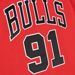 Jerseys Mitchell & Ness -Authentic Dennis Rodman Chicago Bulls Road 1997-98 Jersey