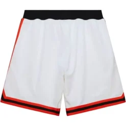 Apparel Mitchell & Ness Shorts-Authentic Denver Nuggets Hwc 2006-07 Shorts