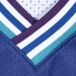 Jerseys Mitchell & Ness -Authentic Jersey Charlotte Hornets 1994-95 Alonzo Mourning