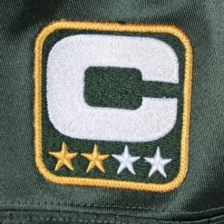 Jerseys Mitchell & Ness -Authentic Jersey Green Bay Packers Super Bowl 2010 Charles Woodson