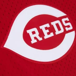 Jerseys Mitchell & Ness -Authentic Johnny Bench Cincinnati Reds 1983 Pullover Jersey