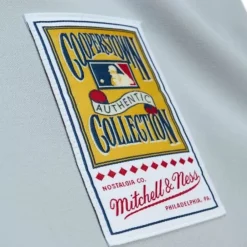 Jerseys Mitchell & Ness -Authentic Pete Rose Cincinnati Reds Road 1975 Jersey