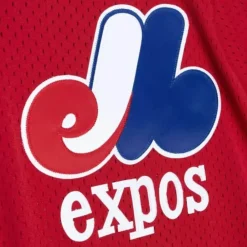 Jerseys Mitchell & Ness -Authentic Tim Raines Montreal Expos 1989 Pullover Jersey
