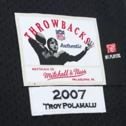 Jerseys Mitchell & Ness -Authentic Troy Polamalu Pittsburgh Steelers 2007 Jersey