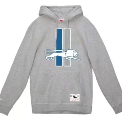 Apparel Mitchell & Ness Hoodies & Sweatshirts-Basic Logo 1 Hoodie Detroit Lions