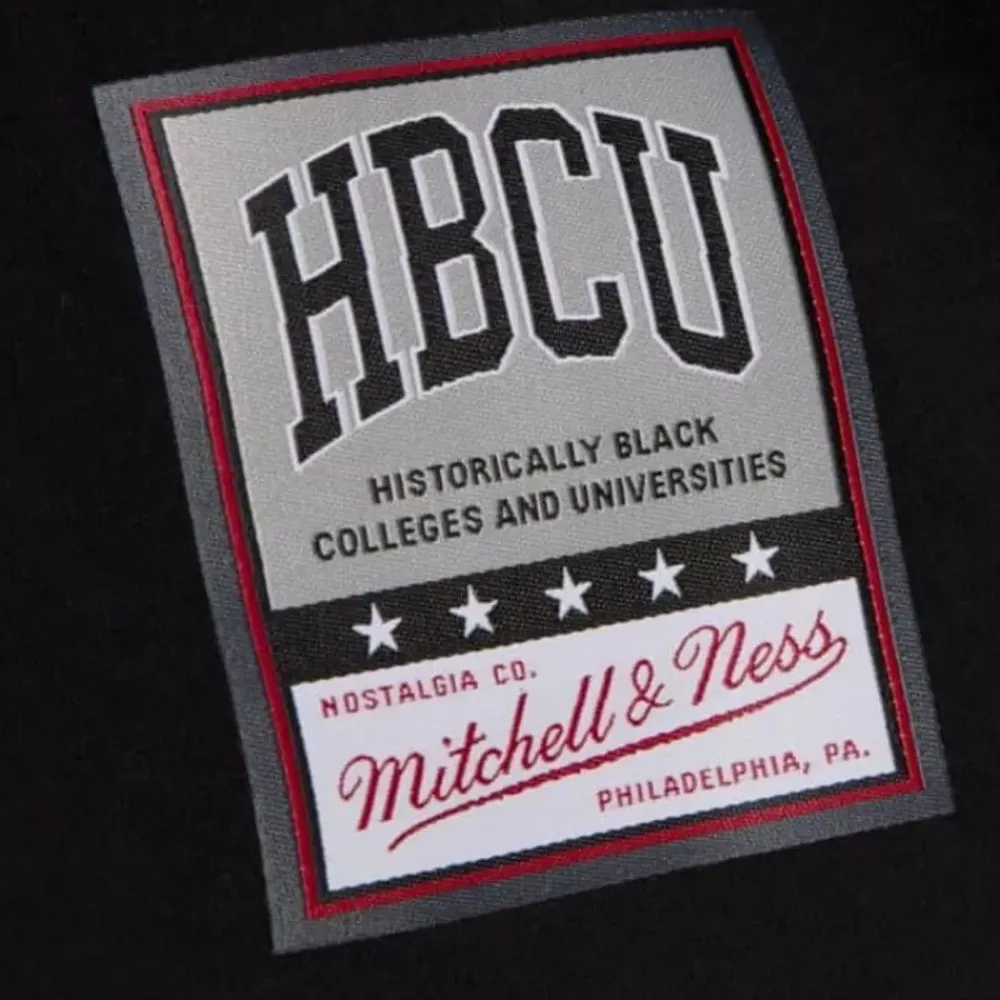 Apparel Mitchell & Ness T-Shirts & Tops-Basic Mascot Longsleeve Texas Southern University