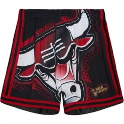 Apparel Mitchell & Ness Shorts-Big Face 7.0 Fashion Shorts Chicago Bulls