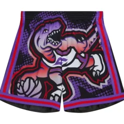 Apparel Mitchell & Ness Shorts-Big Face 7.0 Fashion Shorts Toronto Raptors