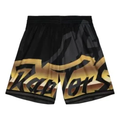 Apparel Mitchell & Ness Shorts-Big Face 4.0 Fashion Shorts Toronto Raptors