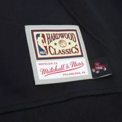 Apparel Mitchell & Ness Hoodies & Sweatshirts-Big Face 7.0 Hoodie Toronto Raptors