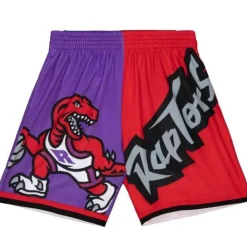 Apparel Mitchell & Ness Shorts-Big Face Fashion Shorts 5.0 Toronto Raptors