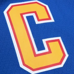 Jerseys Mitchell & Ness -Blue Line Wayne Gretzky St. Louis Blues Dark 1995 Jersey