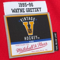 Jerseys Mitchell & Ness -Blue Line Wayne Gretzky St. Louis Blues Dark 1995 Jersey