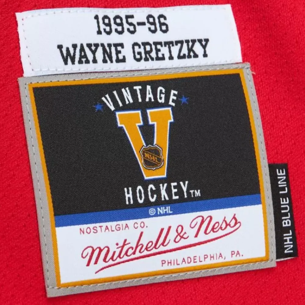 Jerseys Mitchell & Ness -Blue Line Wayne Gretzky St. Louis Blues Dark 1995 Jersey