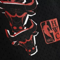 Apparel Mitchell & Ness Shorts-Born And Bred Short Chicago Bulls