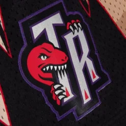 Apparel Mitchell & Ness Shorts-Camo Reflective Swingman Toronto Raptors 1998 Shorts