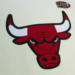 Apparel Mitchell & Ness Hoodies & Sweatshirts-Chainstitch Heavyweight Hoodie Retro Chicago Bulls