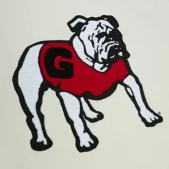 Apparel Mitchell & Ness Hoodies & Sweatshirts-Chainstitch Heavyweight Hoodie Retro University Of Georgia