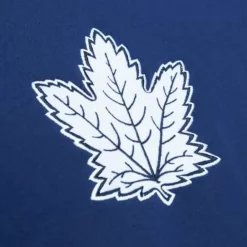 Apparel Mitchell & Ness Hoodies & Sweatshirts-City Collection Fleece Hoody Toronto Maple Leafs