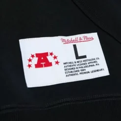 Apparel Mitchell & Ness Hoodies & Sweatshirts-City Collection Fleece Hoody Pittsburgh Steelers