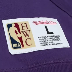 Apparel Mitchell & Ness Hoodies & Sweatshirts-City Collection Fleece Hoody Los Angeles Lakers