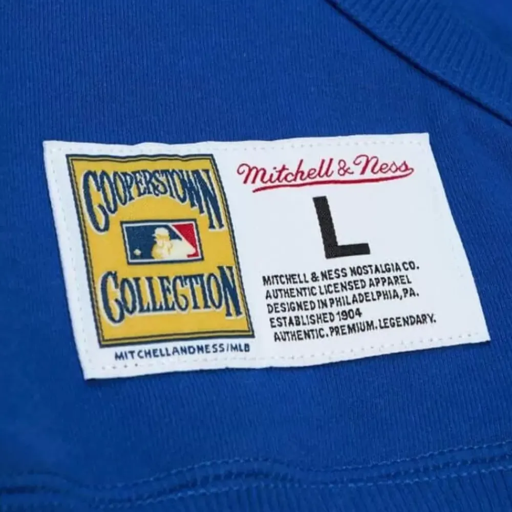 Apparel Mitchell & Ness Hoodies & Sweatshirts-City Collection Fleece Hoody Los Angeles Dodgers