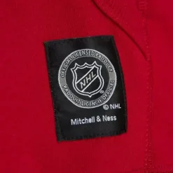 Apparel Mitchell & Ness Hoodies & Sweatshirts-City Collection Fleece Hoody Detroit Red Wings