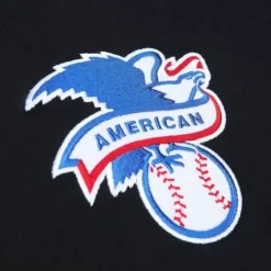 Apparel Mitchell & Ness Hoodies & Sweatshirts-City Collection Fleece Hoody Chicago White Sox