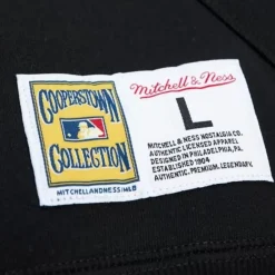 Apparel Mitchell & Ness Hoodies & Sweatshirts-City Collection Fleece Hoody Chicago White Sox