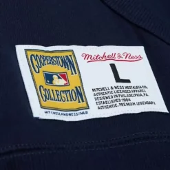 Apparel Mitchell & Ness Hoodies & Sweatshirts-City Collection Fleece Hoody New York Yankees