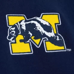 Apparel Mitchell & Ness Hoodies & Sweatshirts-City Collection Fleece Hoody University Of Michigan
