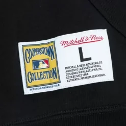 Apparel Mitchell & Ness Hoodies & Sweatshirts-City Collection Fleece Hoody San Francisco Giants