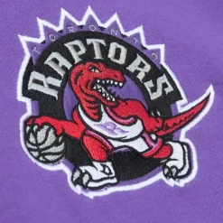 Apparel Mitchell & Ness Hoodies & Sweatshirts-City Collection Fleece Hoody Toronto Raptors