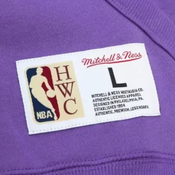 Apparel Mitchell & Ness Hoodies & Sweatshirts-City Collection Fleece Hoody Toronto Raptors