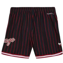 Apparel Mitchell & Ness Shorts-City Collection Mesh Shorts Chicago Bulls