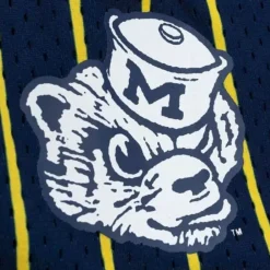 Apparel Mitchell & Ness Shorts-City Collection Mesh Shorts University Of Michigan