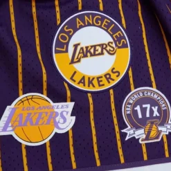 Apparel Mitchell & Ness Shorts-City Collection Mesh Shorts Los Angeles Lakers
