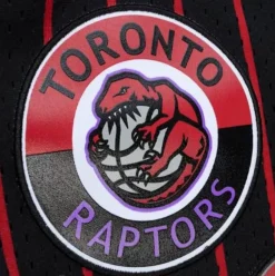 Apparel Mitchell & Ness Shorts-City Collection Mesh Shorts Toronto Raptors