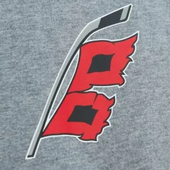Apparel Mitchell & Ness T-Shirts & Tops-City Collection Ss Tee Carolina Hurricanes
