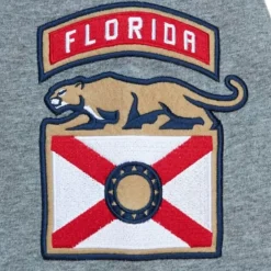 Apparel Mitchell & Ness T-Shirts & Tops-City Collection Ss Tee Florida Panthers